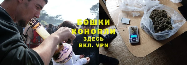 гидра Алексеевка